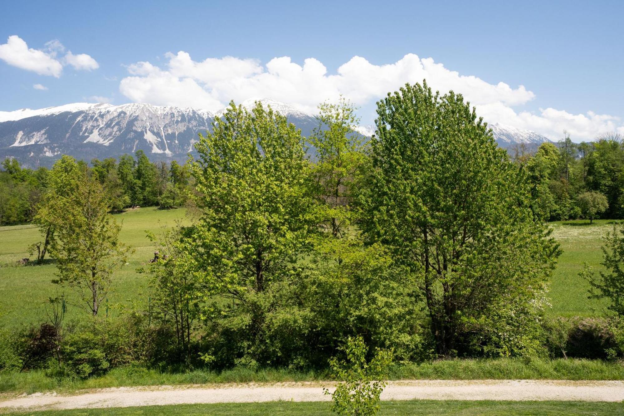 Mountain Suite Jula Bled Exterior foto